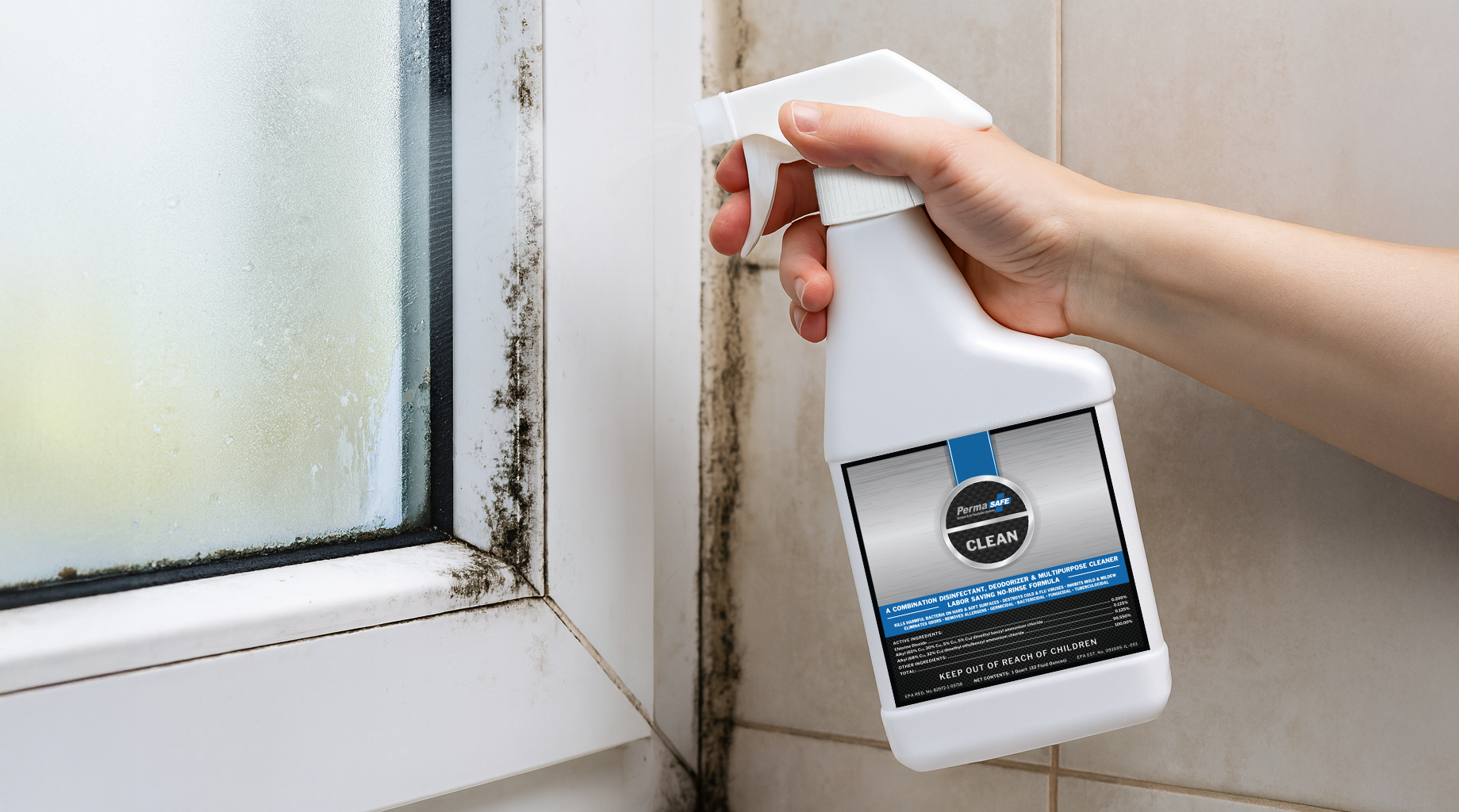 Can A Disinfectant Kill Mold? Here's What Actually Works.