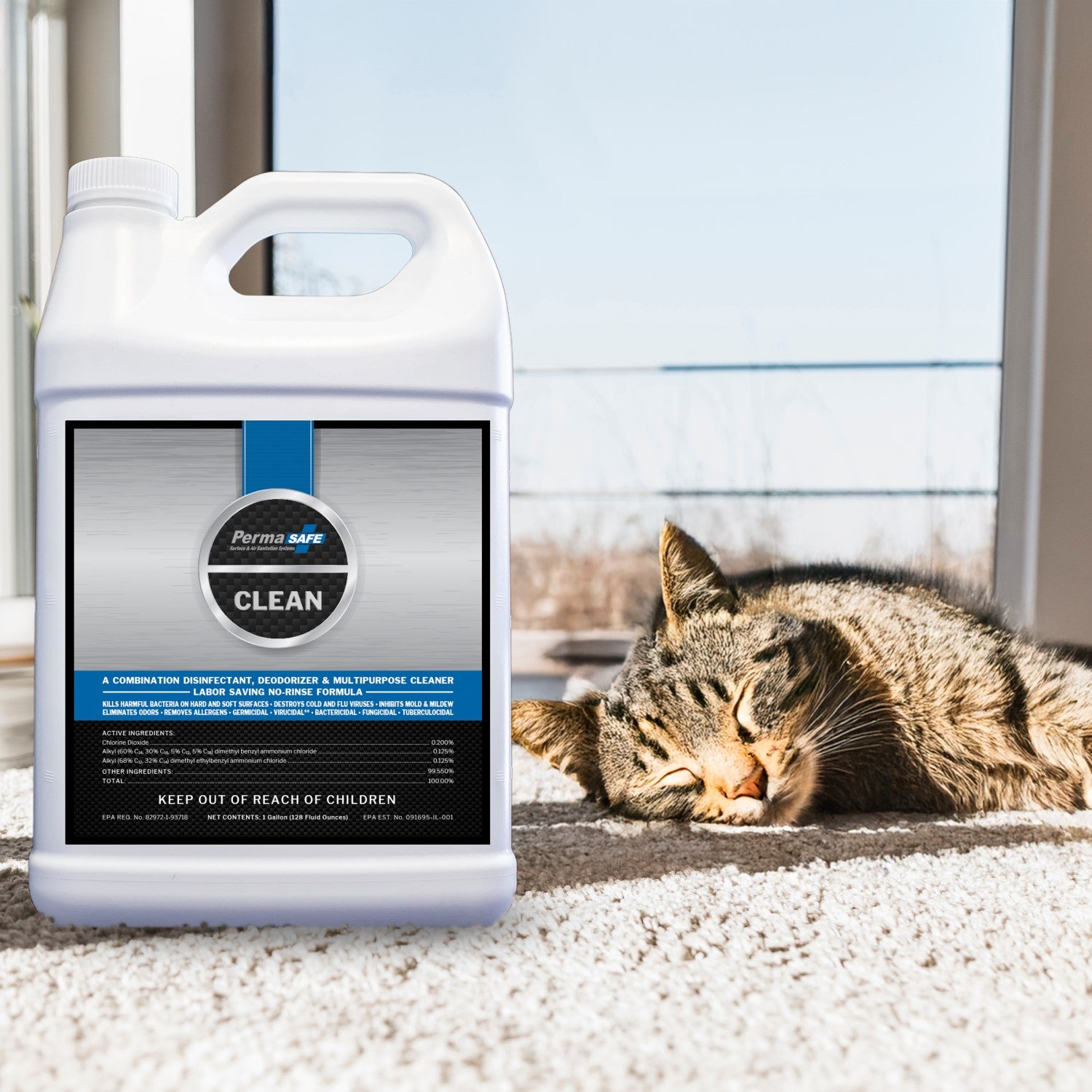 Cat sleeping on carpet next to bottle of PermaSafe CLEAN content knowing his odors and stains are taken of.