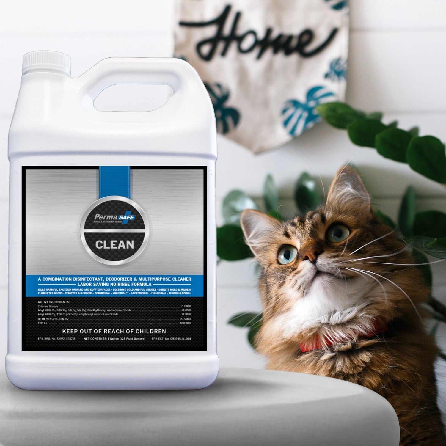 A happy cat looking up to a bottle of PermaSafe CLEAN content knowing his odors and stains are removed.