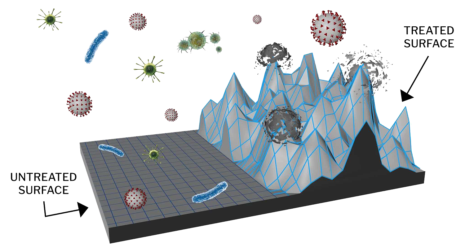 A diagram showing a microscopic view of how surface-modifying antimicrobial technology works to keep you safe without dangerous chemicals.