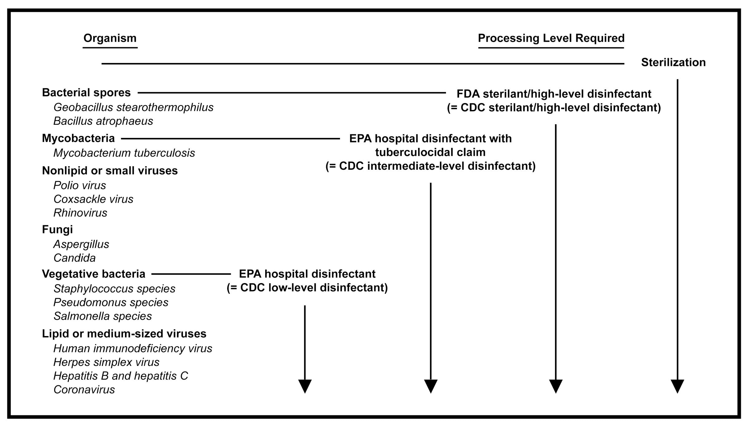 Chart showing how different microorganisms resist germicidal chemicals and the increasing level of strength required to kill them.